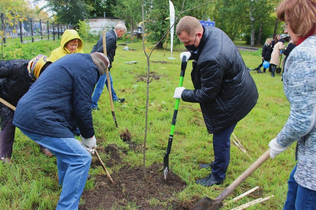 Реконструкция зелёных насаждений на проспекте Калинина